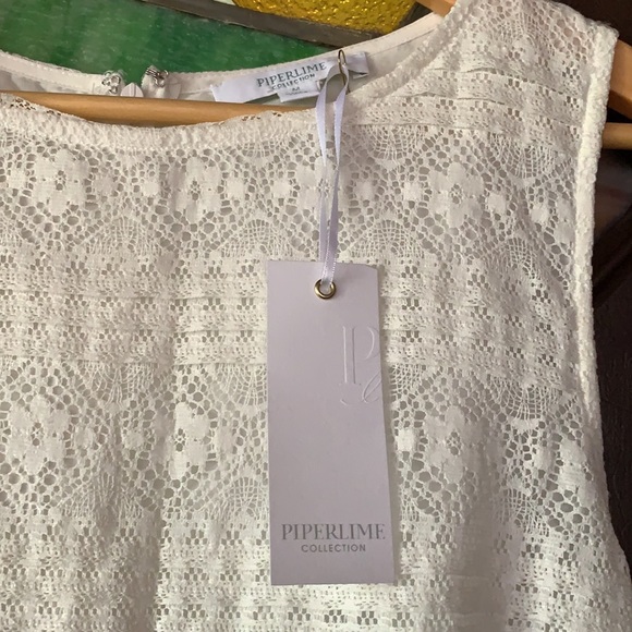 Piperlime Drop shift lace dress MOVING sale! - Picture 3 of 3